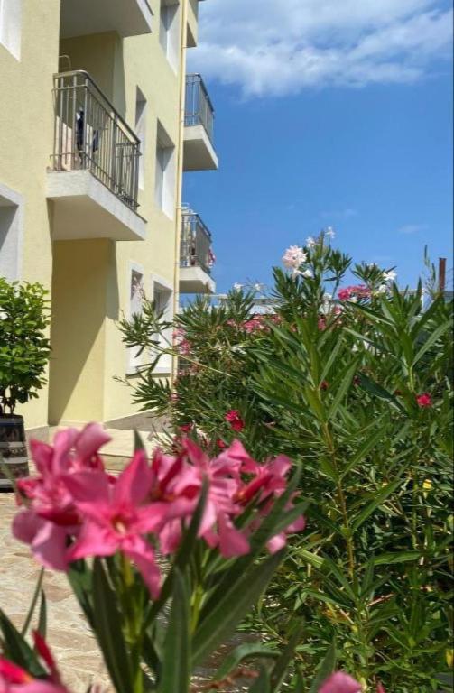 Byala Friendy Sea Apartaments Ngoại thất bức ảnh
